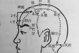 神奇目窗穴，明亮眼睛的窗户，其能明亮眼睛善治眼疾，值得了解图片