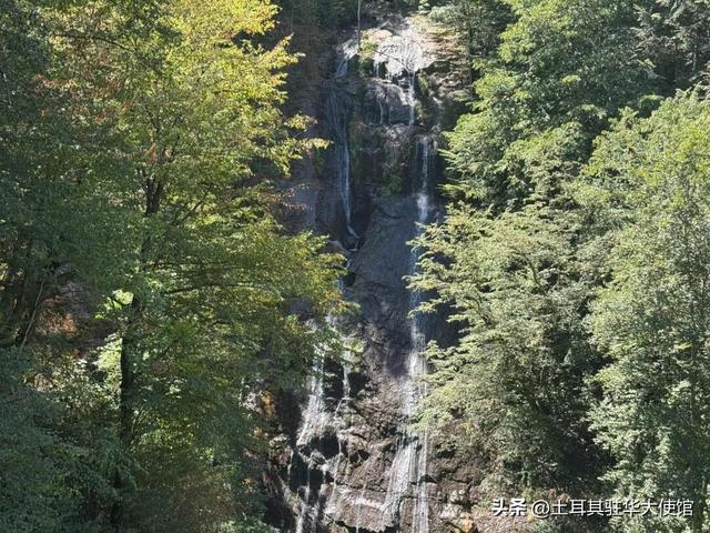 探秘迪兹杰：土耳其西黑海地区的自然与文化瑰宝