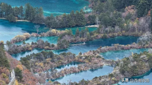 动车出行有多火?这个景区打破40年客流量纪录!