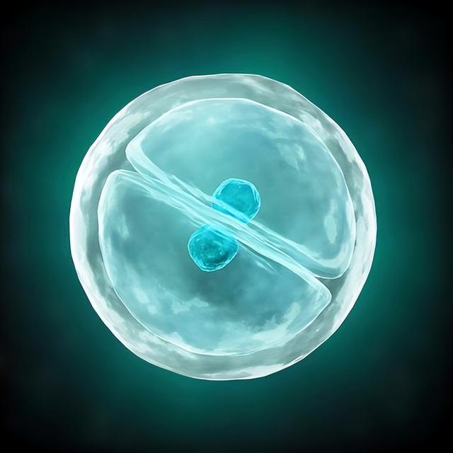 科学家用AI破解生命密码！反推细胞规则，开启编程物质可能性