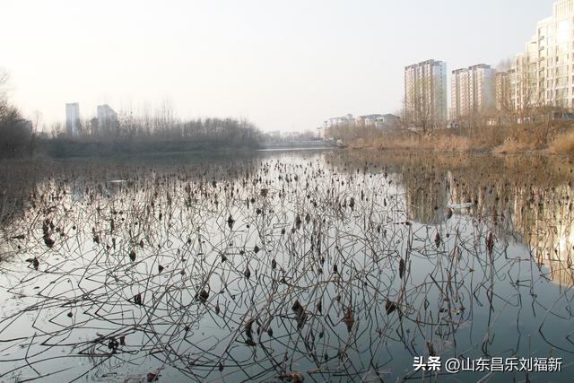 这一次外出闲游感慨颇多