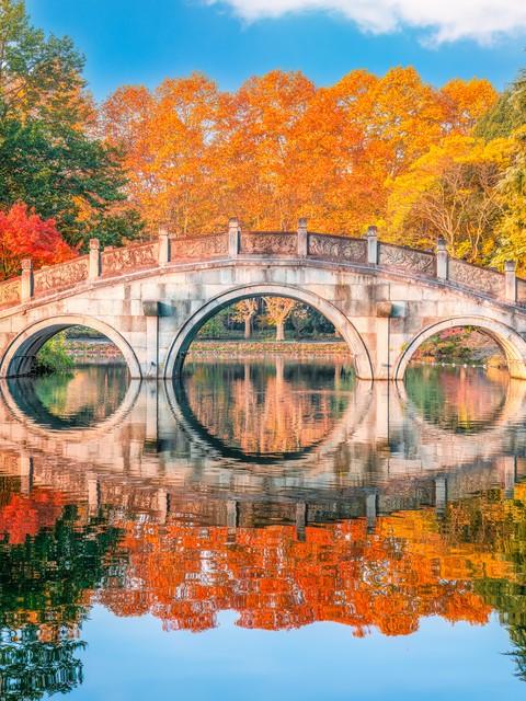 浙江深秋封神路线！红叶、银杏、古寺藏禅，承包江南最绝秋景！