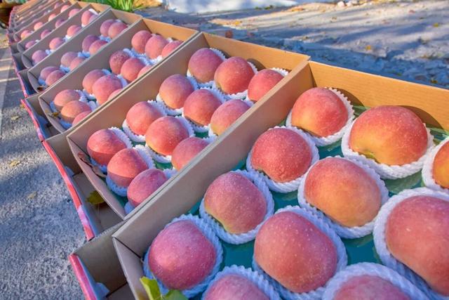 太全面了！8条游玩线路+京郊汤泉！带您玩转北京这里！（2）