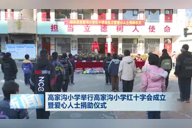 柳林高家沟小学举行高家沟小学红十字会成立暨爱心人士捐助仪式图片