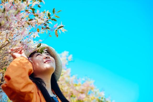 风很温柔，花很浪漫，你很特别。