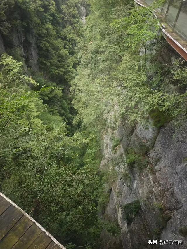 人间仙境南阳市西峡县老界岭避暑散记:寻一方清凉,品山野之味
