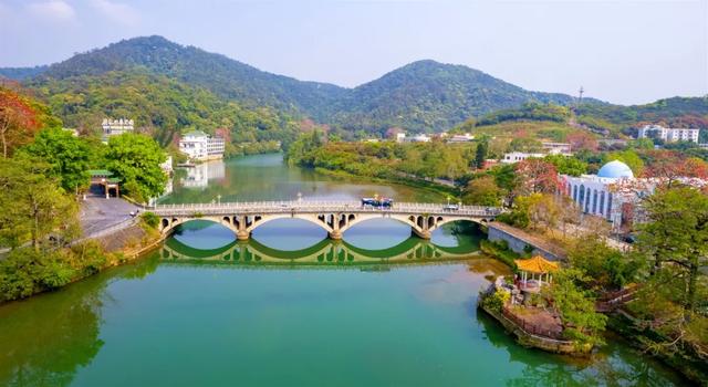品晚熟荔枝、遛娃放风……广州从化这4条精品旅游线路全搞定!