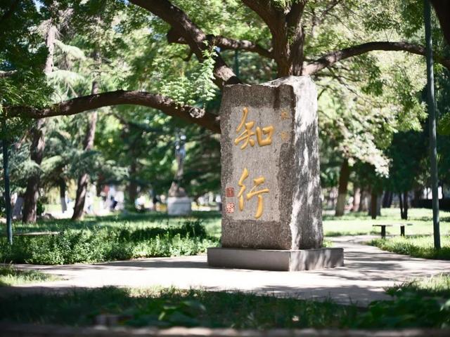取得重大突破！北交大这项技术，引发国际关注！