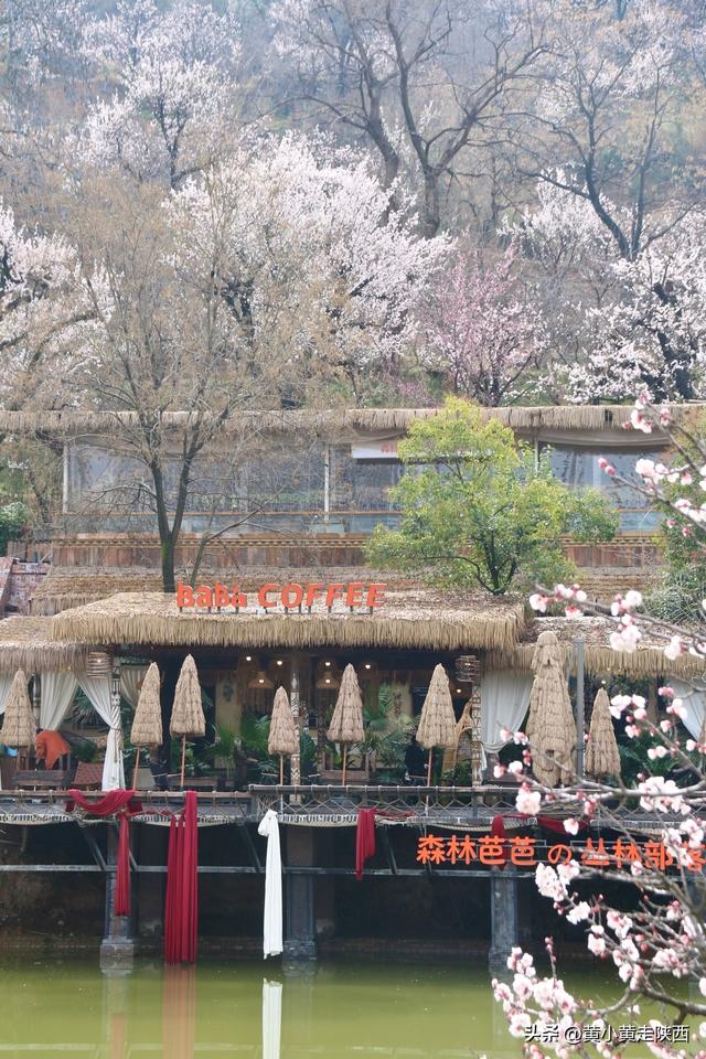 不是林芝，在西安！雪山下的村落被花海包围，美到失语