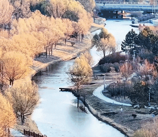 谁把大庆做成动画了？