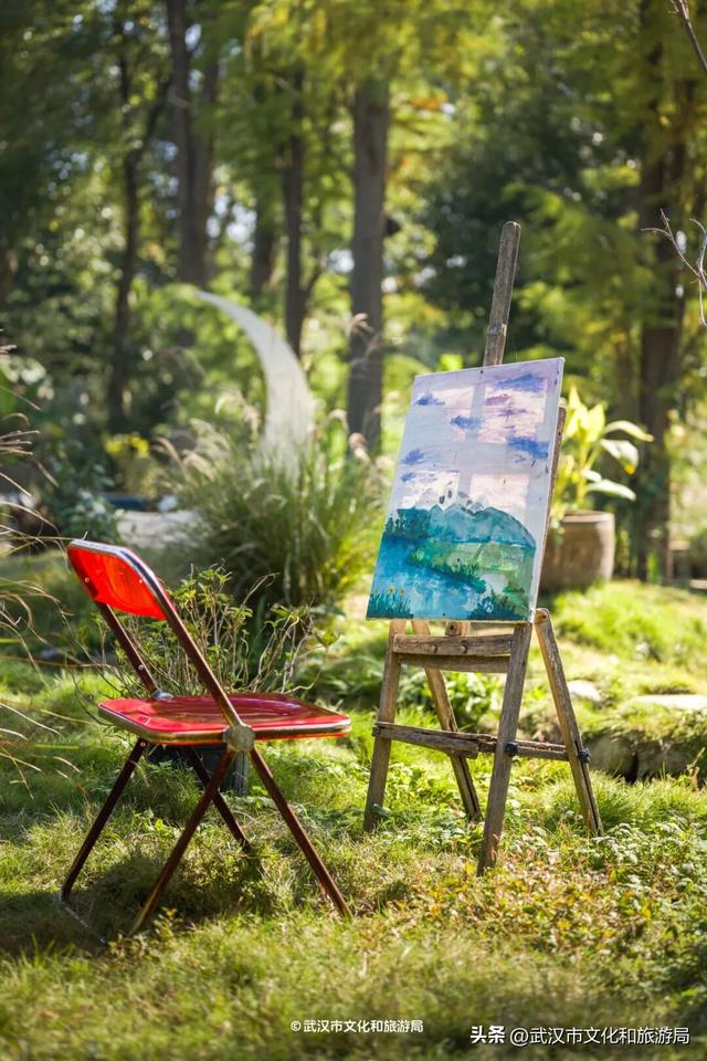 直冲20°C！武汉赏秋天花板，上新3个玩法