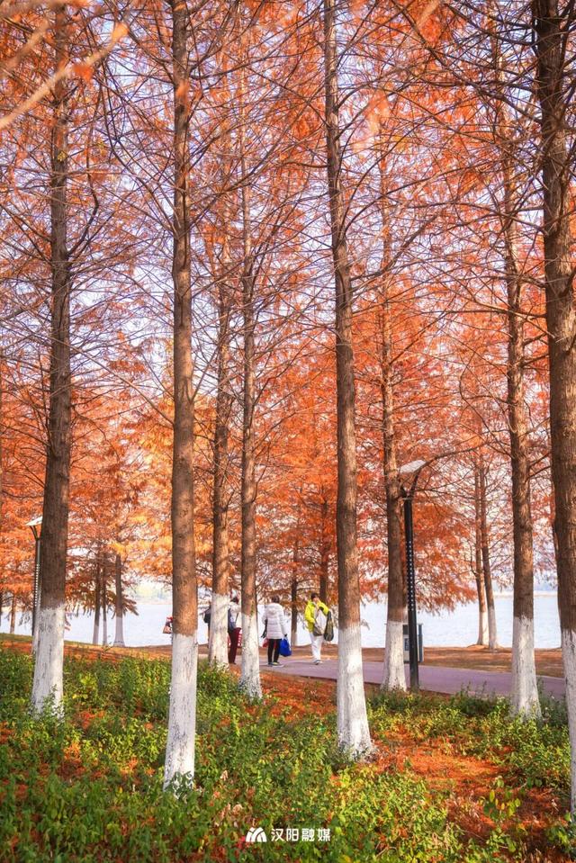 在汉阳的秋天，捡出一个灵感宝库