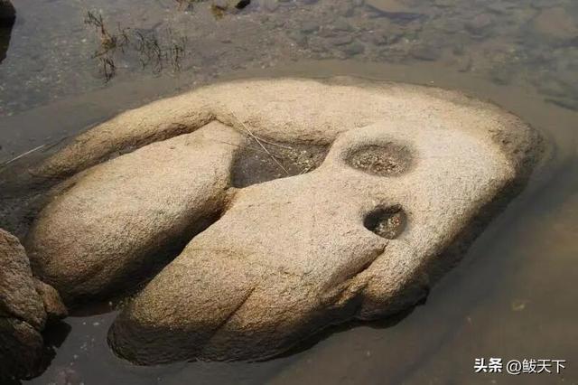 鲅鱼圈又一景区获评国家3A级！