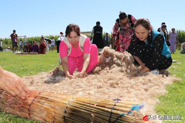 第四届天山花海露营季暨“向往的石梯子”旅游文化推介活动在呼图壁县开幕