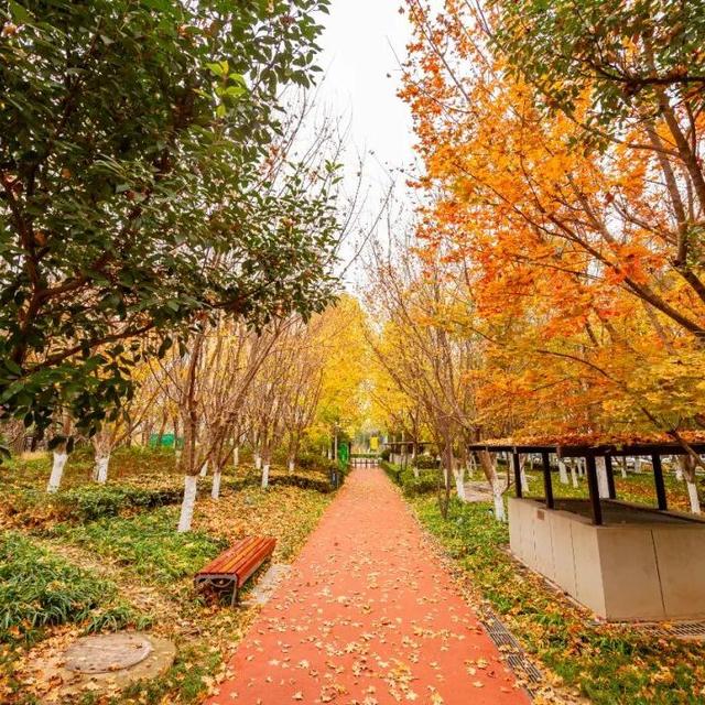 西安周末好去处——初冬8处宝藏公园免费又好玩！