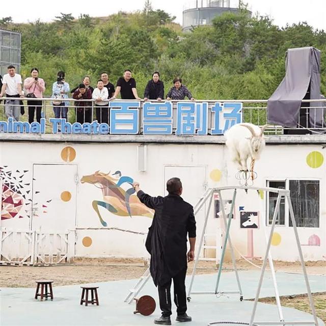 大青山野生动物园国庆中秋假期迎客近9万人次