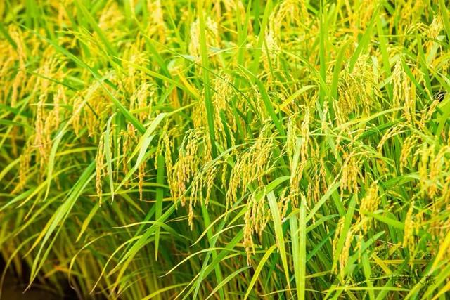 约好国庆游榆林 | 双节假期，“榆”见塞上奇观，天下横山~