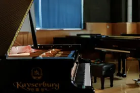 揭秘！钢琴背后的隐形魔法：调律师的匠心之旅图片