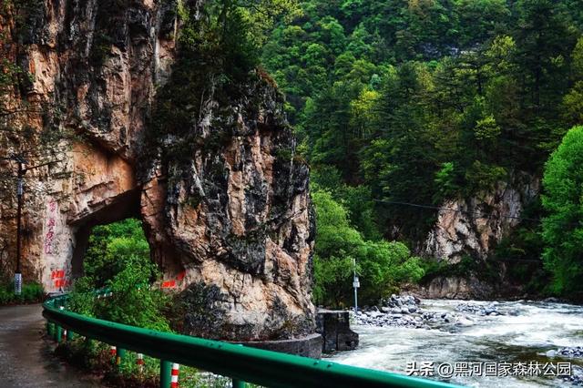 云海翻涌,薄雾缭绕,在黑河山间邂逅“山林仙境”