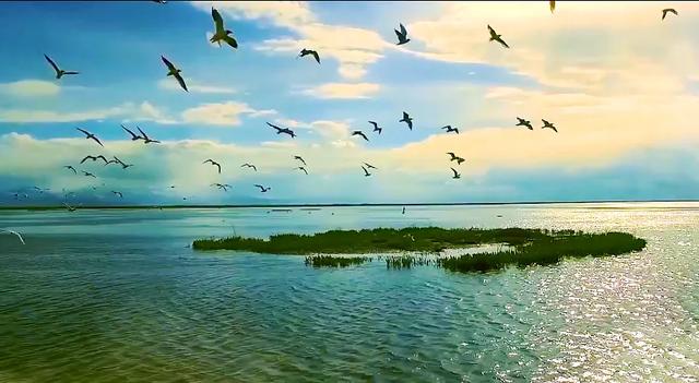 大同这片18万亩的湿地,美到让人心醉