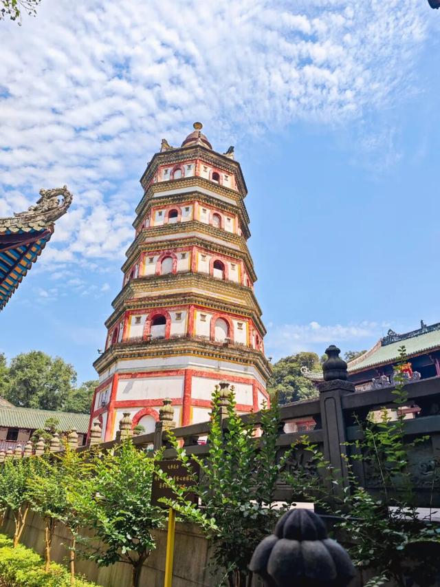 从千年禅钟到荞麦“雪”海，跟着韶关这条治愈秋季美景线路游，超出片！