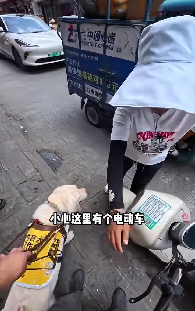 关注｜八年后，他用双耳与指尖“重见”大理！
