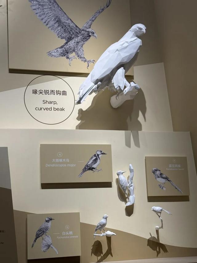 上海科技馆焕新升级，今天面向公众开启首场压力测试！小布带你探营→