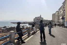 青岛新晋网红打卡地！“孤独的树”带火琴屿路图片