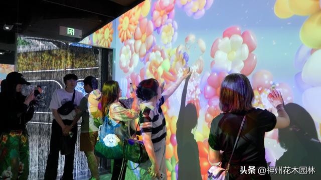 斗南花卉展览馆揭幕：全面展现从“花街”到“花都”的华丽蝶变