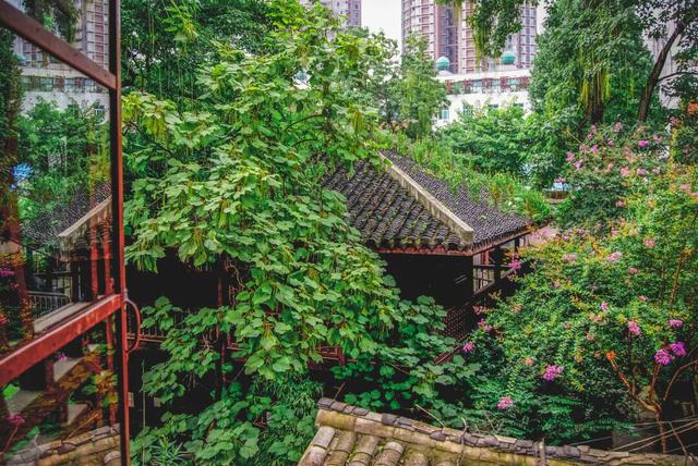 淡季来封神的地方，本地人清空收藏夹的的玩乐清单就看这篇了