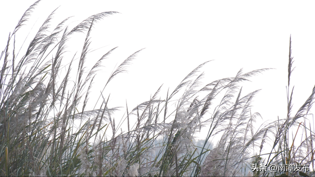 南漳：邂逅城市限定款美景