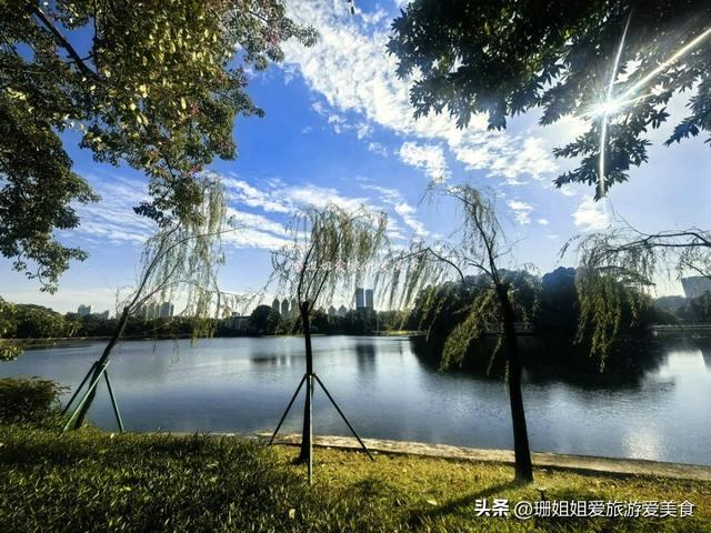 广州暖冬藏“绿韵”，漫步东山湖，畔塔影摇，解锁南北迥异的冬韵