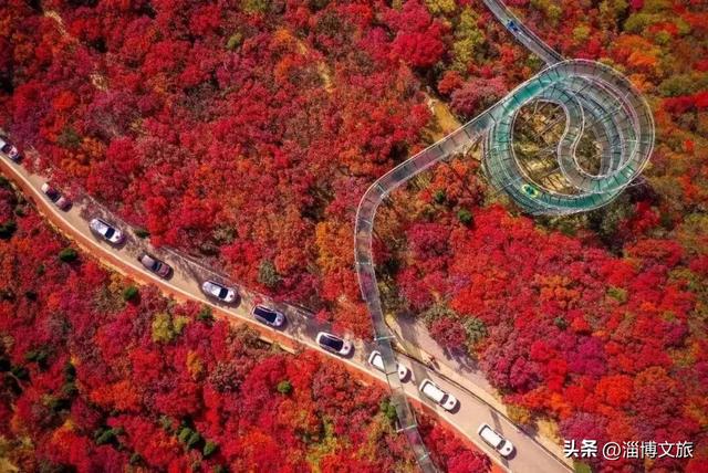 被淄博宠坏了！2026“爱你老己”，就照这样来🧡