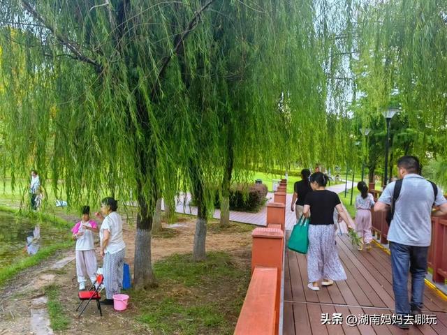 长沙南城遛娃，就爱这条免费清凉路线！