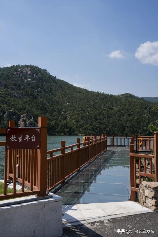 【乐游烟台】被问爆的的烟台登山好地！后悔没早来！