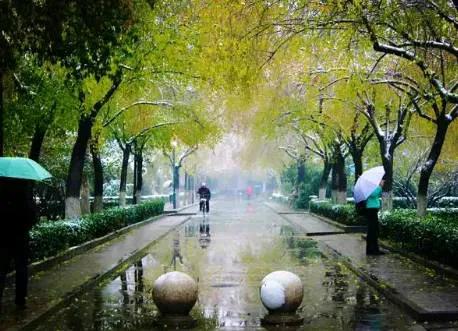 初秋雨中的景让人朦胧迷离，丝丝凉意掠过心田，别样滋味涌上心头