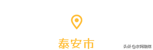 山东的第一波蜡梅开啦！快来邂逅这份冬日限定的浪漫