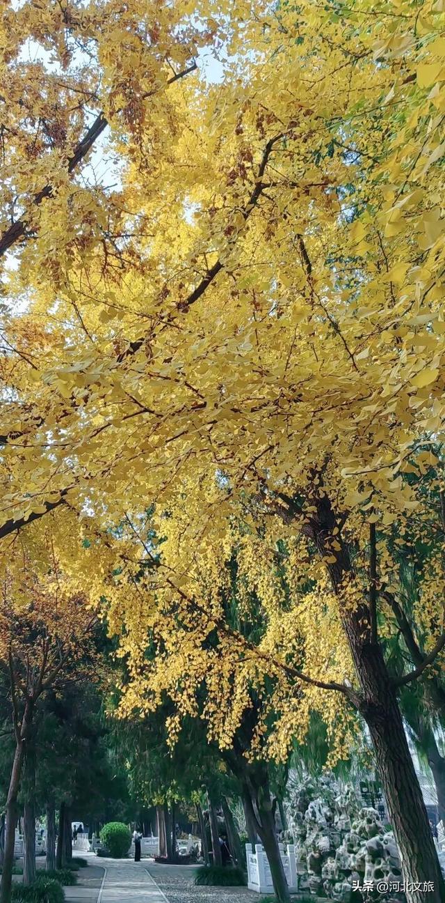 您预订的“诗与远方”已打包完毕！请签收