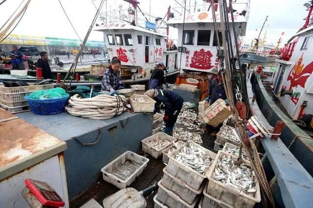 日本接到通知，四国专机将抵华	，一致向中方示好，高市早苗显忧虑