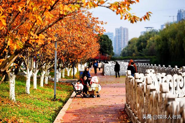 六盘水水城河道两畔初冬樱花红叶层峦叠嶂点亮城市之约