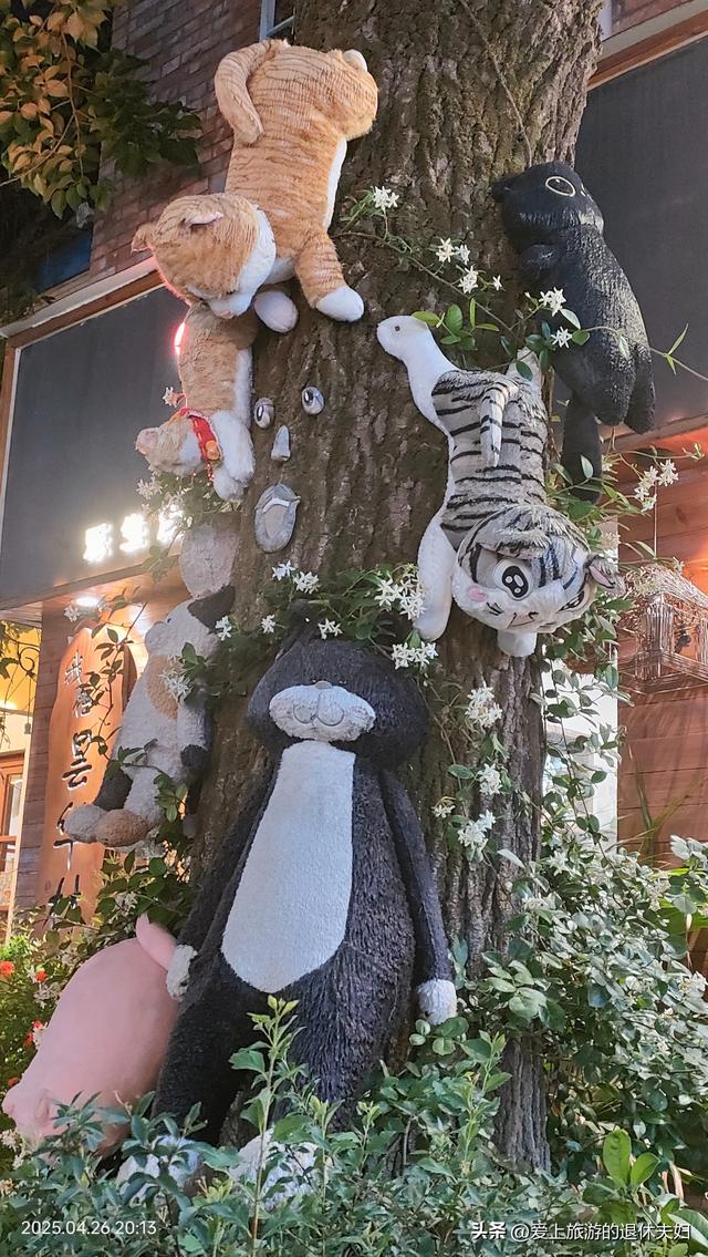 出游第8站-武汉：马不停蹄也转不完，看我俩都去了哪？在哪最悠闲