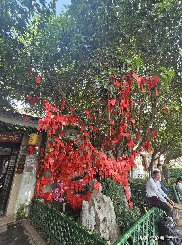喜气洋洋的平江路，得意洋洋的平江路