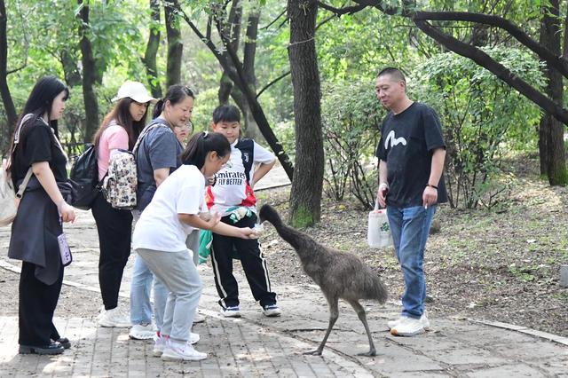 沈阳鸟岛假期前三天接待游客人数同比增长23%