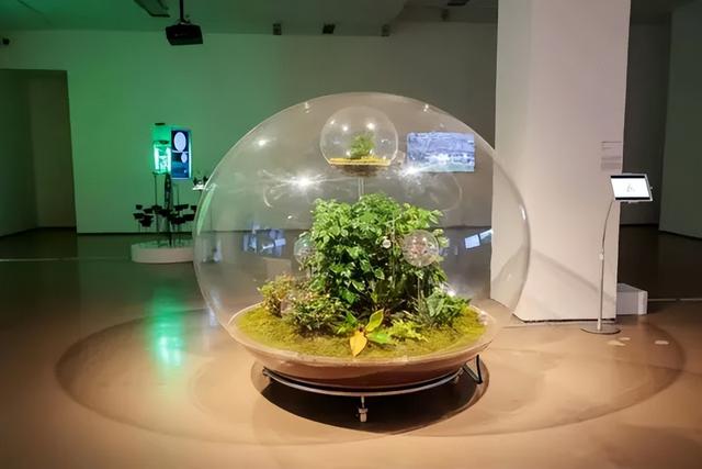 自然赋能未来 “想象另一种引力”科学艺术展在今日美术馆开幕