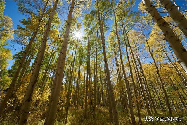 老蛙12mm F2.8 Zero-D 评测——一款存在明显妥协的超超广角定焦镜头