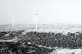 中国为全球绿色低碳转型增强普惠性图片