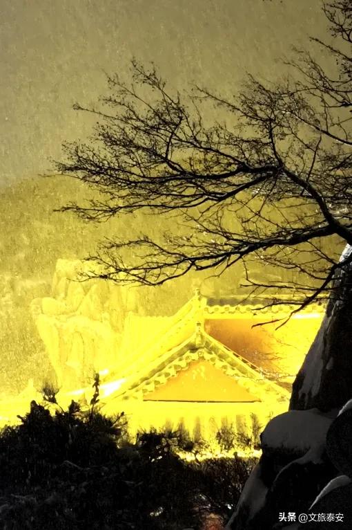 2025初雪到来！泰山限定版皮肤已上线，真是美到犯规啦！