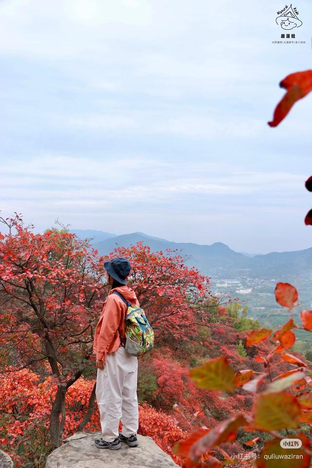 周末好去处 | 被临沂户外徒步地 美哭了！