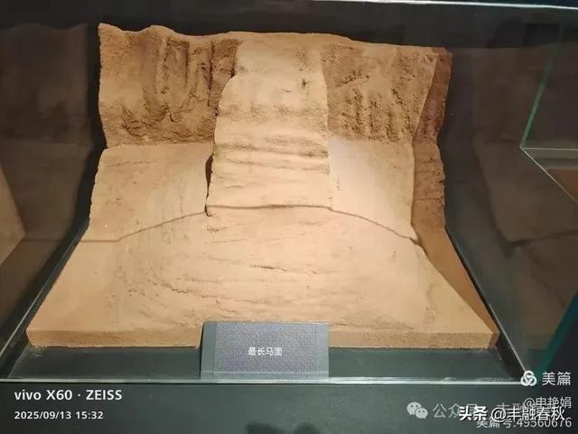 山海之间，触摸长城的千年脉搏｜申艳娟