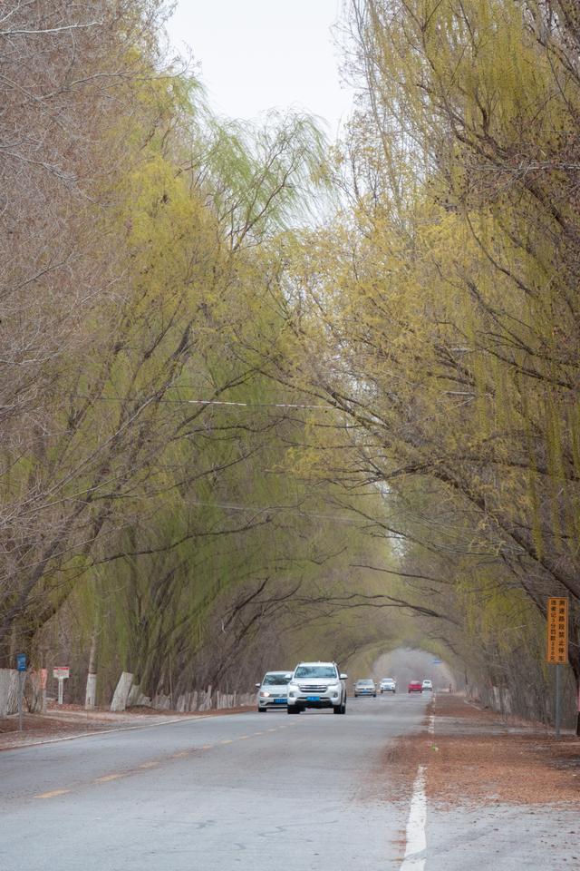 大漠之水：在武威，追寻一条河流的生死突围